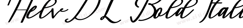 HelvDL Bold Italic字体转换 HelvDL Bold Italic字体转换
